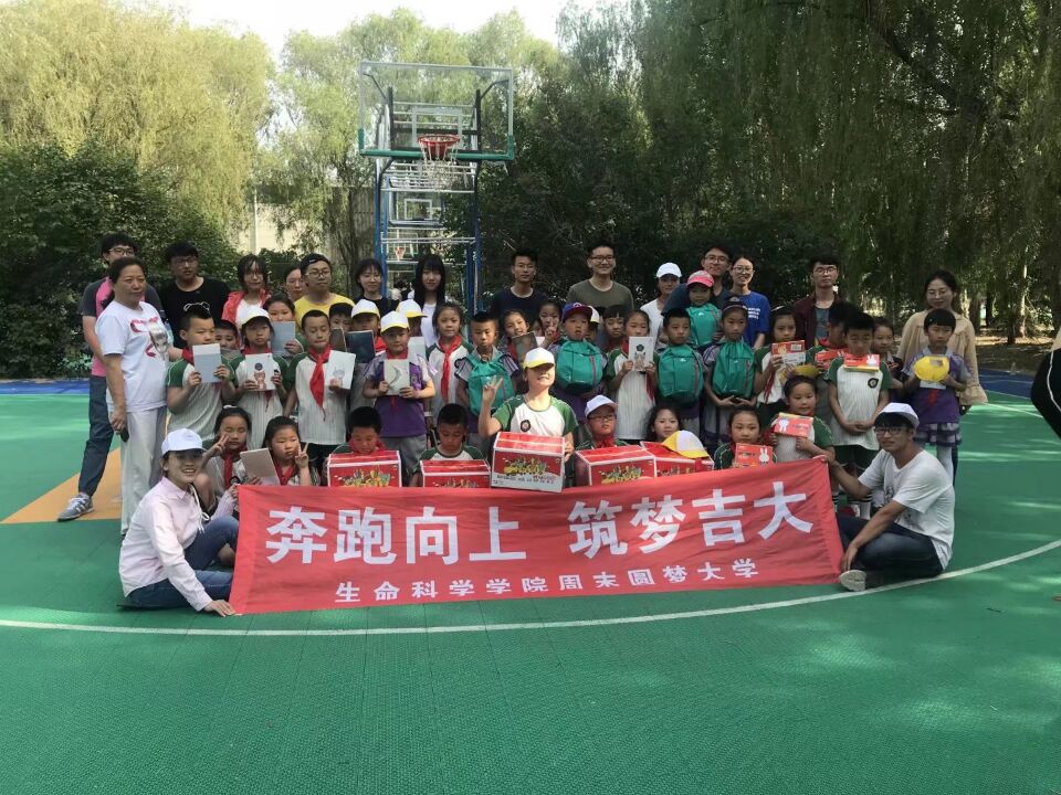 开云kaiyun网页版官网