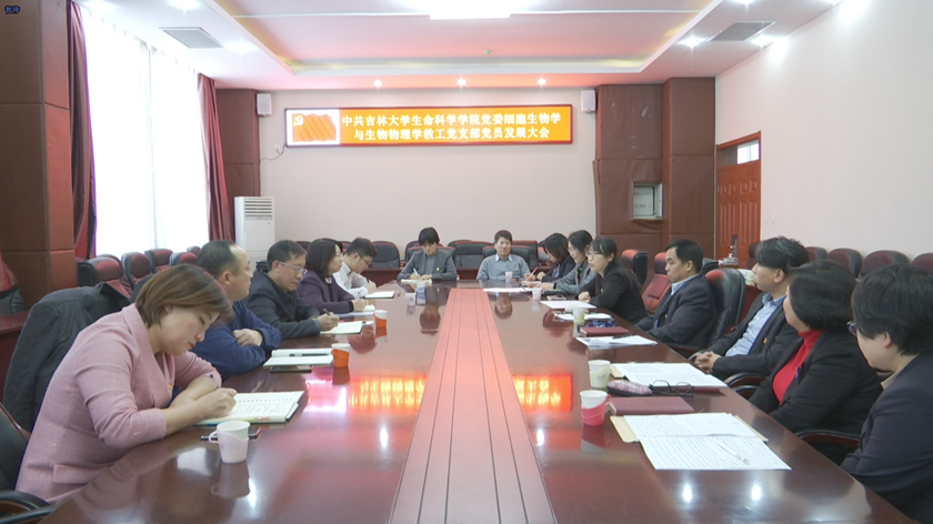 开云kaiyun网页版官网