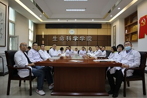 开云kaiyun网页版官网