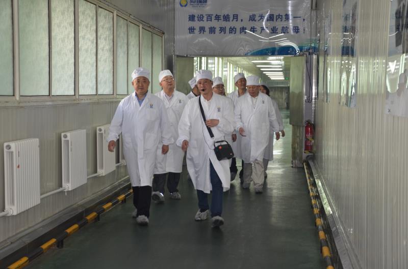 开云kaiyun网页版官网