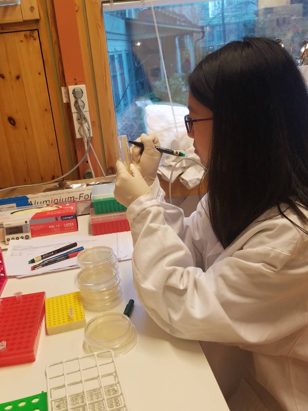 开云kaiyun网页版官网