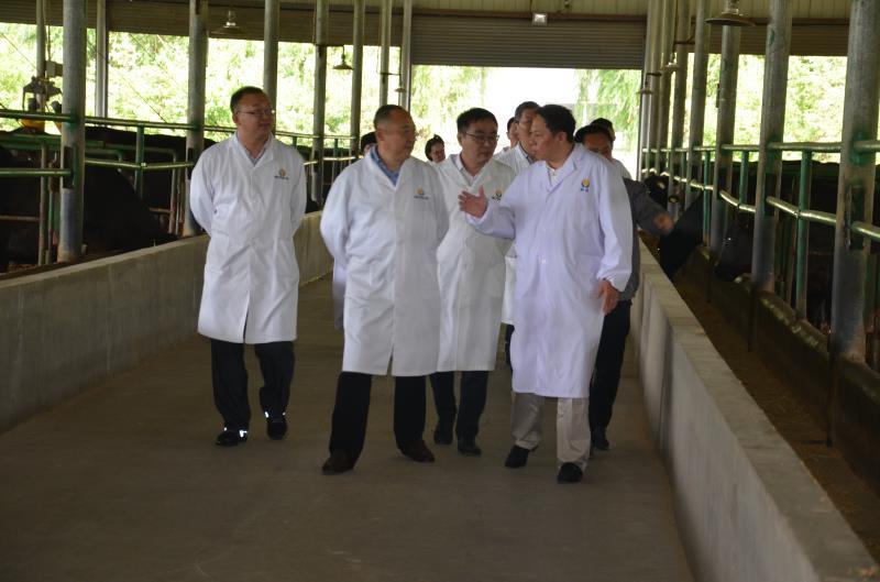 开云kaiyun网页版官网