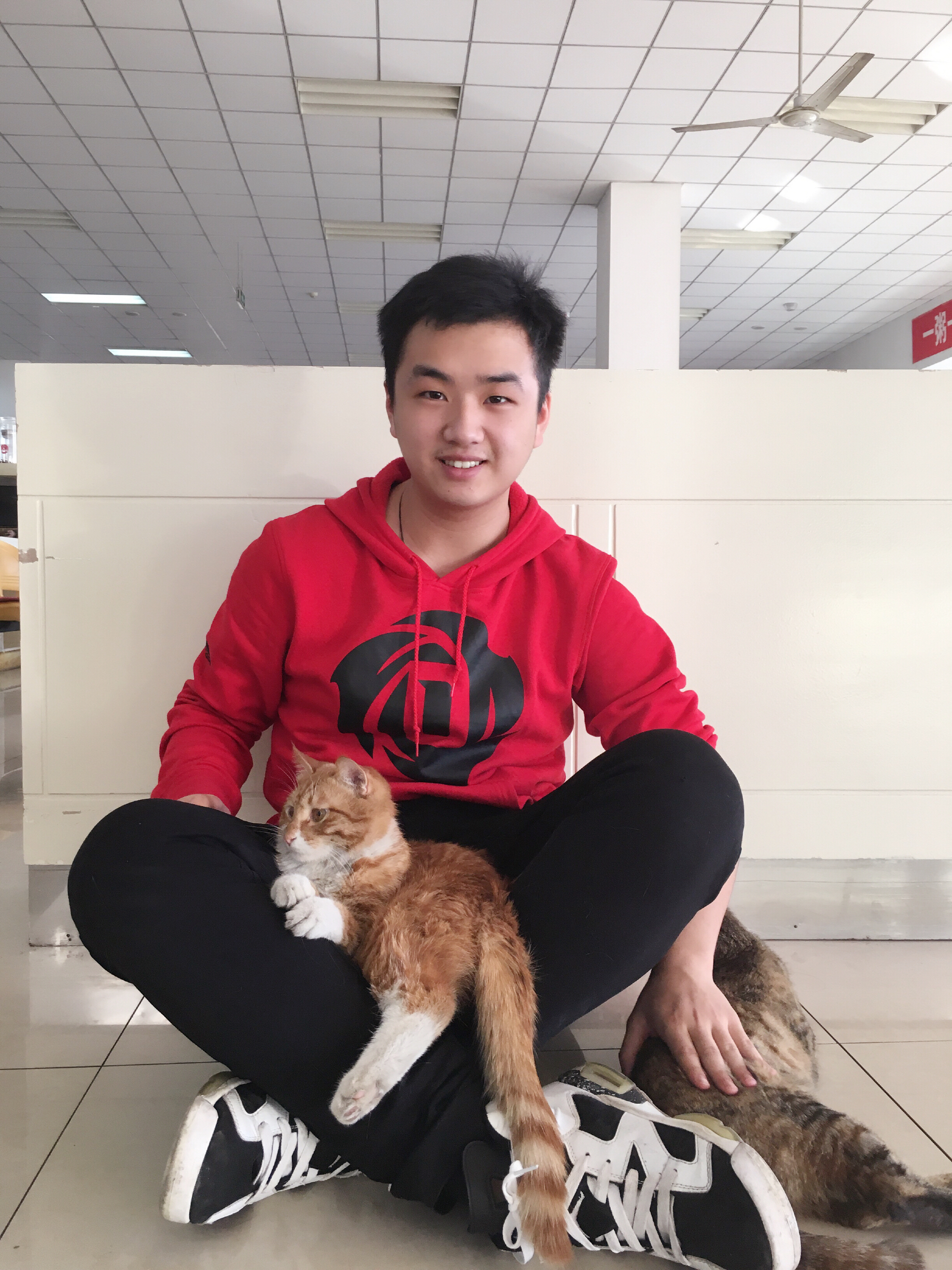 开云kaiyun网页版官网