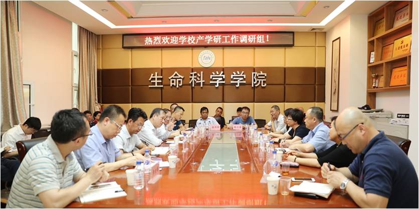 开云kaiyun网页版官网