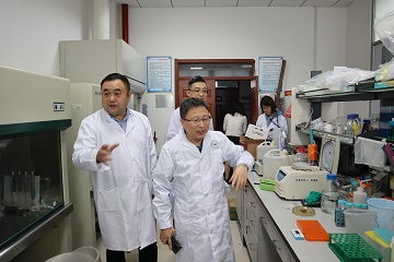 开云kaiyun网页版官网