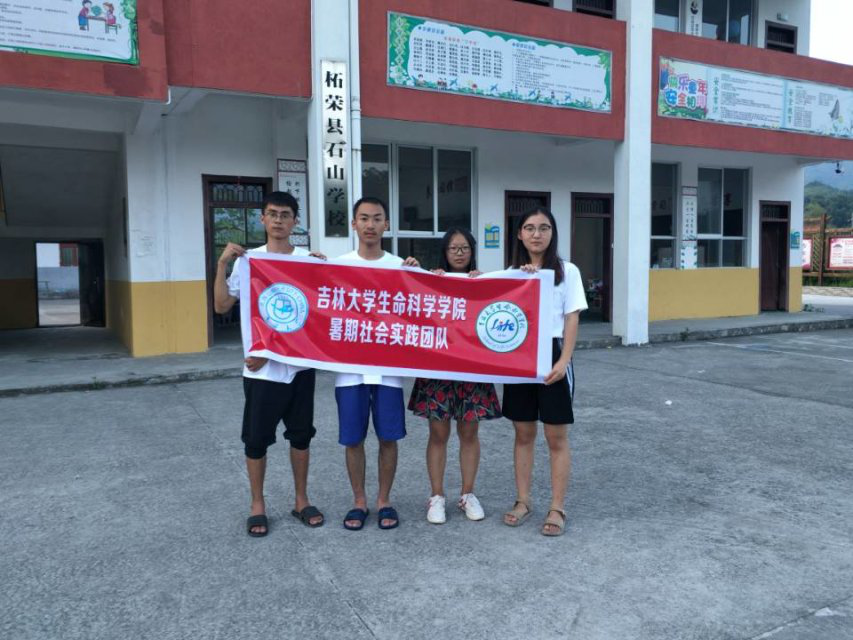 开云kaiyun网页版官网