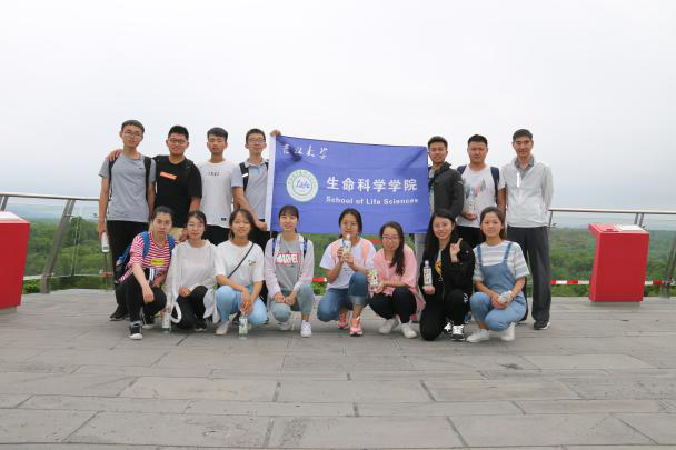 开云kaiyun网页版官网