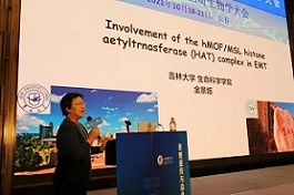 开云kaiyun网页版官网
