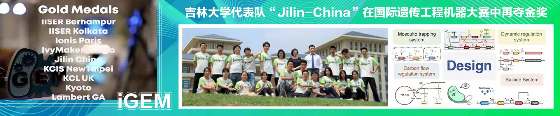 开云kaiyun网页版官网