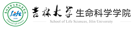 开云kaiyun网页版官网