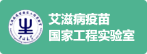 开云kaiyun网页版官网