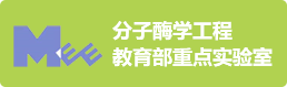 开云kaiyun网页版官网