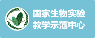 开云kaiyun网页版官网